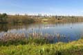 Burnaby Deer Lake, Deer Lake Park