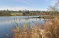 Burnaby Deer Lake, Deer Lake Park