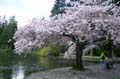 Burnaby Central Park, Canada Stock Photos