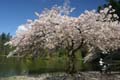 Burnaby Central Park, Canada Stock Photos