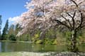 Burnaby Central Park, Canada Stock Photos