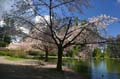 Burnaby Central Park, Canada Stock Photos