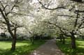 Spring, Canada Stock Photos