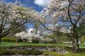 Spring Time, Stanley Park