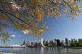 Skyline, Downtown Vancouver