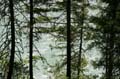 Green River, Garibaldi Provincial Park