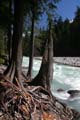 Whistler, Garibaldi Provincial Park