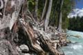 Whistler, Garibaldi Provincial Park