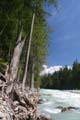 Whistler, Garibaldi Provincial Park