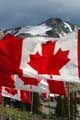 Whistler Mountain Summit, Canada Stock Photos