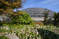 Bloedel Floral Conservatory, Queen Elizabeth Park