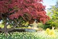 Vancouve Parks, Queen Elizabeth Park