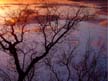 English Bay Sunset, Canada Stock Photos