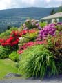 Vancouver Stock Pictures, Canada Stock Photos