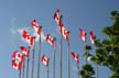 Canada Flag, Canada Stock Photos