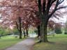 North Shore Parks, Canada Stock Photos