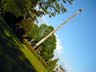 Totem Poles, Vanier Park