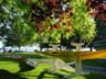 Kayaks At The Ambleside Park, Canada Stock Photos