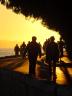 Seawall Walk Ferguson Point, Canada Stock Photographs