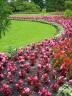 Flowers, Vancouver Gardens