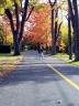 Cyclist And Fall, Canada Stock Photos