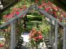 The Rose Garden, Stanley Park