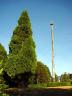 Totem Poles, Vanier Park