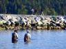 West Vancouver, Canada Stock Photographs