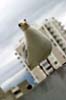 Seagull, Vancouver Wildlife