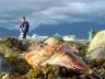 Stanley Park, Canada Stock Photographs