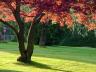 Plants, Canada Stock Photos