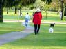 Parks, Canada Stock Photographs