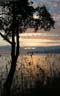 English Bay Sunset, Canada Stock Photographs