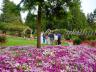 Wedding, Vancouver Gardens