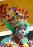 Mask, 2003 Taiwanese Cultural Festival