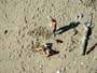 Beach People, Close To Burrard Bridge