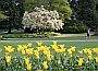 Flowers, Vancouver Gardens